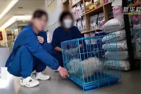 锐评｜宠物寄养贵比五星级酒店？新业态得有“明白账”图片
