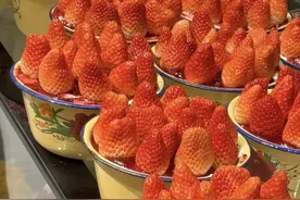 这个盆突然卖断货！呼市多家店有卖！提醒：这样的别买图片