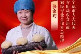 代表看检察|市人大代表张家巧：检察护企，银花朵朵图片