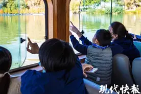 观鸟、探绿、采化石……南京花式研学为寒假上分图片