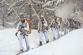 穿林海 跨雪原图片