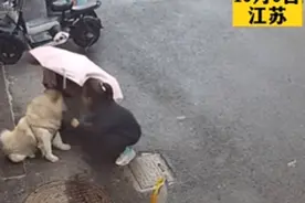 路边的狗不能随便摸！女子被咬得满脸是血……图片