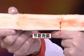 正大量上市！这种植物吃不对，有可能变“致命毒药”图片