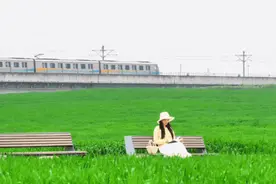 预测要火！成都这些“喜洲”麦田图片
