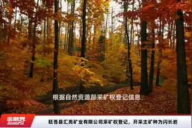 旺苍县汇亮矿业有限公司采矿权登记，开采主矿种为闪长岩视频封面
