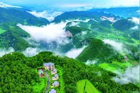 重庆市涪陵区武陵山镇乐道村：武陵山上避暑经济热图片