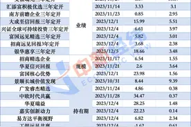 浮动费率基金满周年：业绩咋样？基金公司赚钱吗？图片