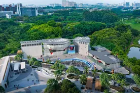 新时代全运 新征程广州 | 体育强国全运奏强音图片