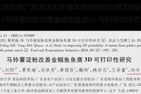 揭秘！鱼糜遇上马铃薯淀粉，3D打印美食新纪元？图片