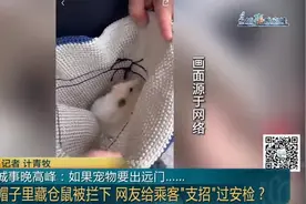 上海地铁明确禁止，还有人想避开安检偷偷干！本月已发现多例，网友：严惩图片