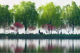 最新调价通告！事关西湖景区图片