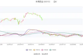 丰原药业：2024年上半年净利润1亿元 同比下降2.72%图片