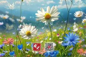 清明｜草木萌动 春和景明图片