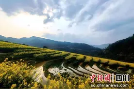 泸州叙永：电力赋能助荒地变良田图片