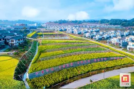 以花为媒 广交朋友 荣县高山镇首届油菜花文旅季活动将于2月29日举行图片