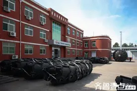 铿锵玫瑰图片