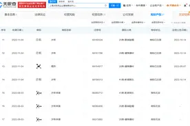 许昕公司已登记“背后击球”、“Xuperman”作品著作权图片