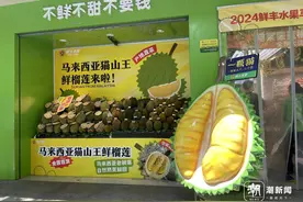 水灵灵的，首批马来西亚鲜食榴莲打飞的来了，已在杭州开售图片