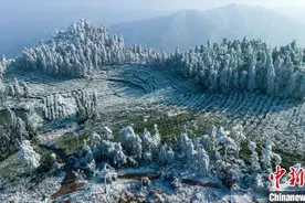 浙江磐安：山林银装素裹图片