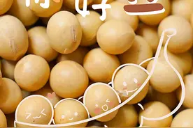 好品中国丨大豆摇铃千里金 “粮”辰美景迎丰年图片