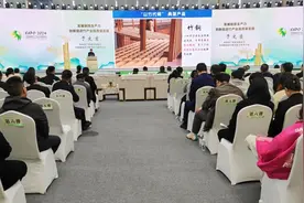 绿色低碳，竹创未来图片