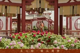新民艺评丨赵玥：《国色芳华》带火菏泽牡丹，深入人心的更是“万物皆美”图片