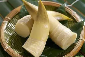 清明时节好扯笋，专家提醒：笋子虽美不可贪吃！图片