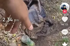 骑行博主再次在野外发现遗体，警方正在调查图片