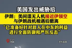 伊朗：美无人机接近伊领空 与伊朗战机相遇后撤离图片
