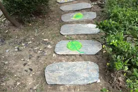 识花绘图，居民自治让小区美出新高度图片