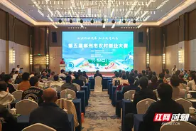 郴州这场比赛亮点满满！ 多位“农创客”“出圈”赋能乡村振兴图片
