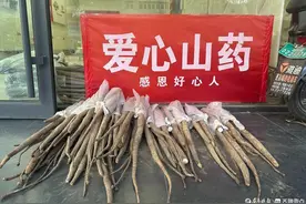 女大学生摆摊为弟筹款治病，爱心接力牵动聊城和德州两座城图片