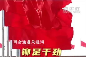 两会通道关键词｜铆足干劲创未来图片