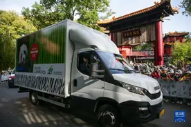 大熊猫“梵星”启程回国，荷兰民众不舍送别！父母继续旅居图片