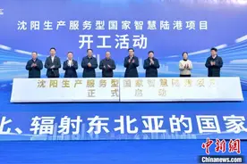 沈阳生产服务型国家智慧陆港开建 将大大降低企业物流成本图片
