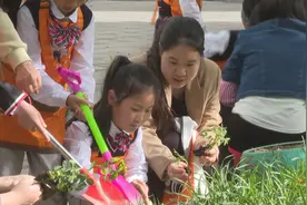 也傍桑阴学种瓜，谷雨亲子栽种忙图片