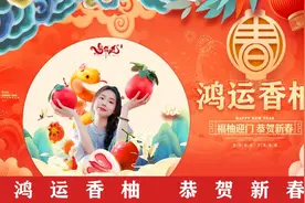 占全国八成！玉林的“炼金术”厉害了图片