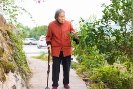 2024年度“感动重庆十大人物”提名人选|岳龙芳：闲不下来的劳模，她把荒岛变“瓜果山”图片