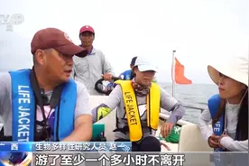 科研人员能叫出每只小海豚的名字！一起去找萌宝“小墩墩”图片