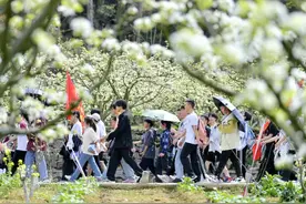 北京发布研学游规范：严禁以清北名校旗号收客，确保旅有所学图片