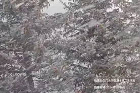 今日大雪，北京真的下雪了！图片