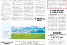湖南日报｜岳阳“看禾选种” 筛选优质水稻新品种图片