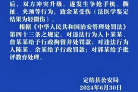 西藏定结警方通报“旅游团领队打人事件”调查结果：因折叠椅被占用发生争执，当事双方均被处罚图片
