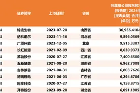 北交所“小巨人”上半年业绩：13家归母净利润同比增速超50%图片