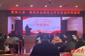 孵化新一代“大神” 番茄小说·湖南作协网络文学作家创作研修班开班图片