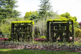 好春光莫辜负，来看松江校园美景如画图片