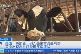 又一例！美国再报告人感染禽流感病例，首次出现急性呼吸道疾病症状图片