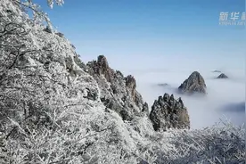 安徽黄山：雪后初霁现雾凇云海图片