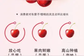 新鲜上市！车厘子是你的“年货必入”吗？图片