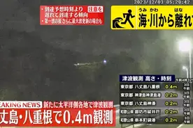 日本多地接连观测到海啸 东京都八丈岛海啸最高图片